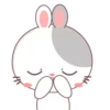 Rabbit 2 MOV. 23