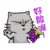 貓爪抓趁燒快抓動態 21