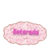 Enterada 25