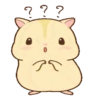 Hamster pudding 20
