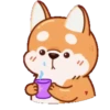 Perrito Corgi 1 MOV. 18