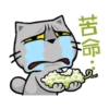貓爪抓趁燒快抓動態 22