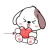 Cute puppy 20
