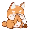 Perrito Corgi 1 MOV. 19