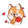 Perrito Corgi 1 MOV. 20