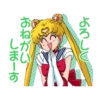美少女戰士（日） 23