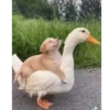 Mix ✥9 Movi 30