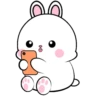 ️Lovely Rabbit .MOV 24