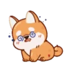 Perrito Corgi 1 MOV. 23