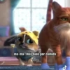 🧿Perrito (Gato con botas) 7