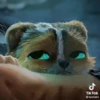 🧿Perrito (Gato con botas) 9