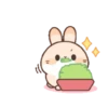 Cute Rabbit 5