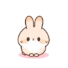 Cute Rabbit 6
