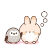 Cute Rabbit 7