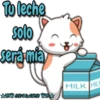 Gatitu amor tóxico ️ 10
