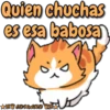 Gatitu amor tóxico ️ 11