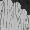 ΝᎪᎡႮͲϴ B︎L︎A︎C︎K︎ & WHITE 6 12