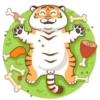 Tigre gruñon 1 5