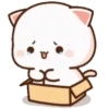 MOCHIS CAT Extra"P" MOV 8
