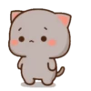MOCHIS CAT Extra"P" MOV 12
