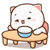 MOCHIS CAT Extra"P" MOV 13