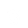kitty 11