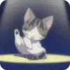World of chi cat 😼 anime 11