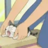 World of chi cat 😼 anime 12