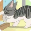World of chi cat 😼 anime 13
