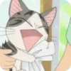 World of chi cat 😼 anime 14