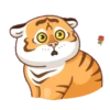 Tigre gruñon 1 7