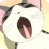World of chi cat 😼 anime 18