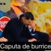 Tuguices V 19