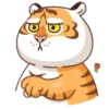 Tigre gruñon 1 11