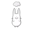 Conejo espacial 12