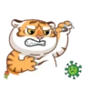 Tigre gruñon 1 12