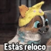 💫Perrito de gato con botas❣️ 16