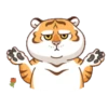 Tigre gruñon 1 13