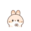 Cute Rabbit 15