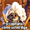 💫Perrito de gato con botas❣️ 19