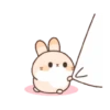 Cute Rabbit 16