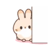 Cute Rabbit 17