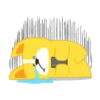 puppyluca 16