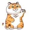 Tigre gruñon 1 14