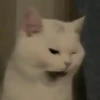 Доброй ночи 20