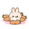 Cute Rabbit 20