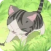 World of chi cat 😼 anime 23