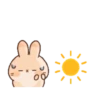 Cute Rabbit 23