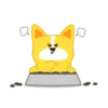 puppyluca 19
