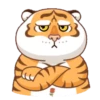 Tigre gruñon 1 20